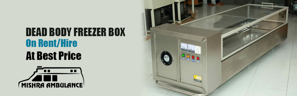 Freezer box services